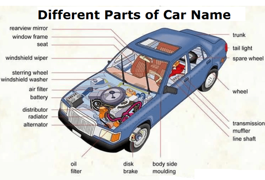 Dodge : Charger